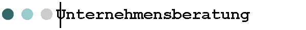 Unternehmensberater