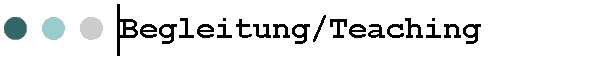 Begleitung/Teaching
